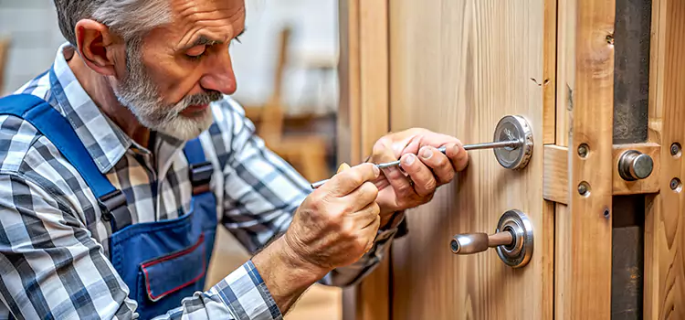 Mortise Replacement Lock Tonawanda