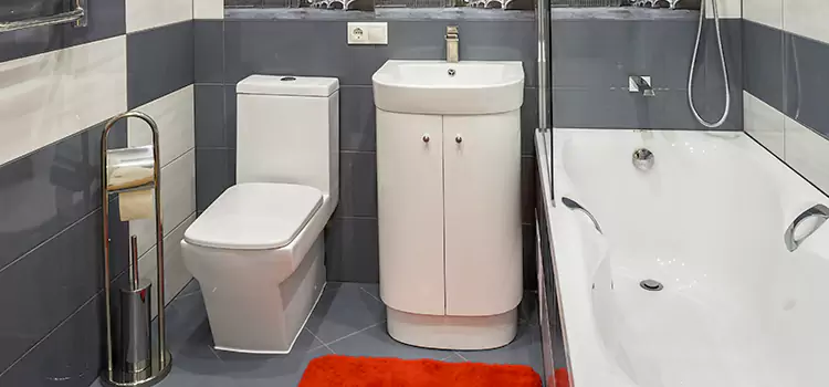 Hansgrohe Shaving Mirror Tonawanda