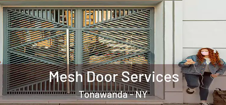 Mesh Door Services Tonawanda - NY